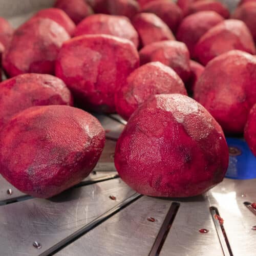 Red beets on a knife peeling disc of the BLADE Finis-Eillert peeling machine.
