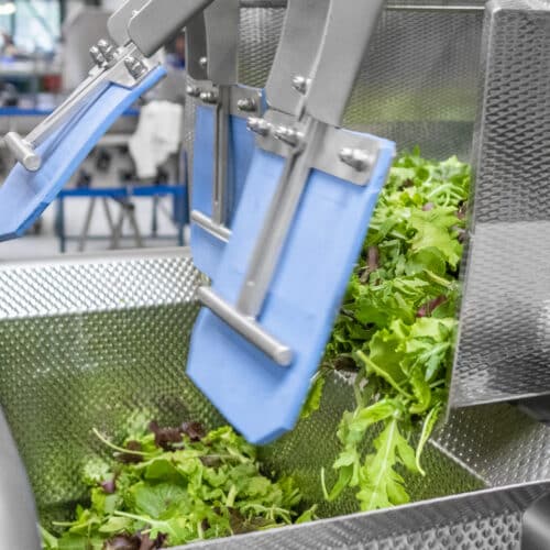 Arugula mix is accurately dosed into the weighing unit of the automatic weigher using the dosing valves.